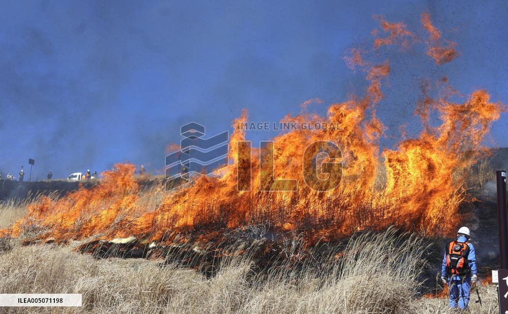 Controlled grassland burn on Mt. Aso