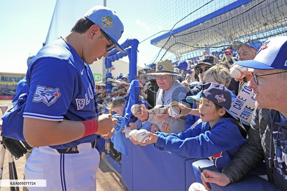 Baseball: MLB spring training