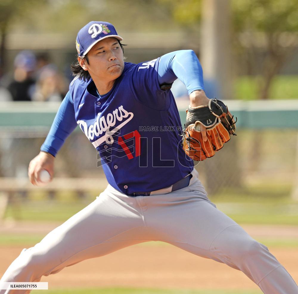 Baseball: MLB spring training
