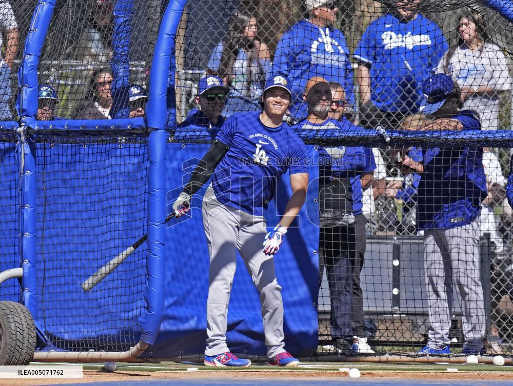 Baseball: MLB spring training