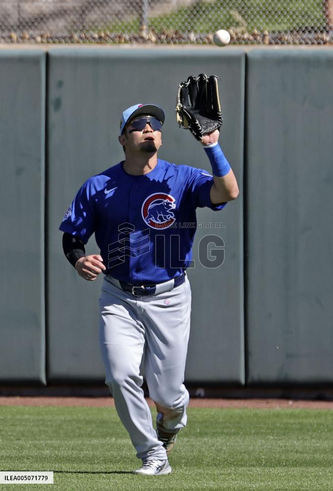 Baseball: MLB spring training