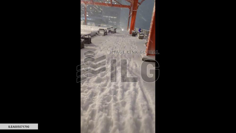US: Powerful Blizzard Hits NYC, Travel Bans Issued Across Northeast