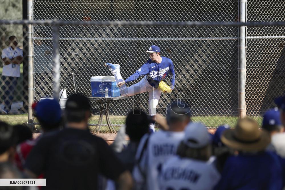 Baseball: MLB spring training