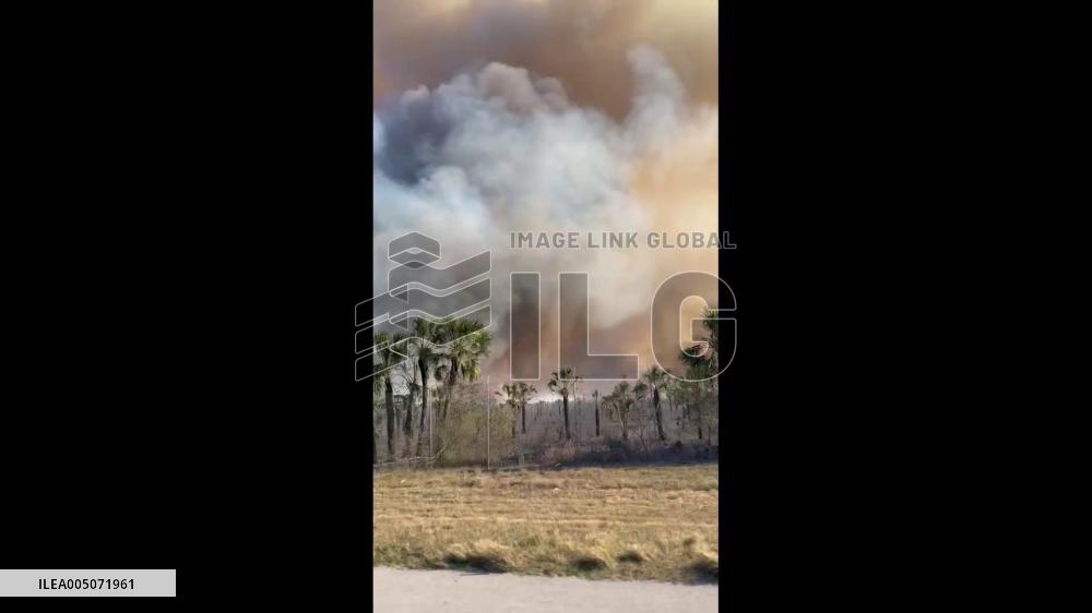 US: Brush Fire Spreads in Collier County, Florida Amid Drought and Strong Winds 2