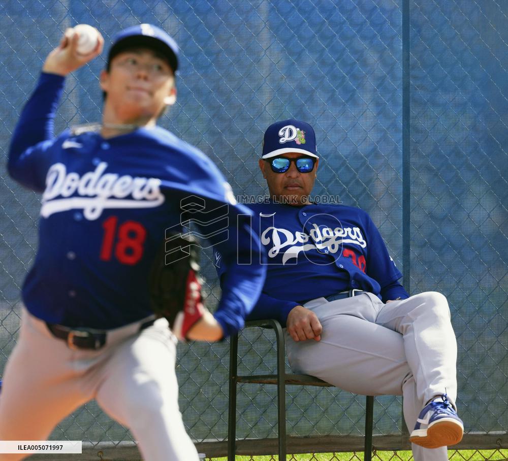 Baseball: MLB spring training