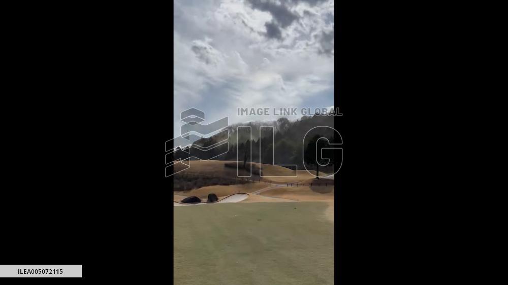 Japan: Cedar Pollen Reaches Its Peak With Heavy Dispersal Reported 2