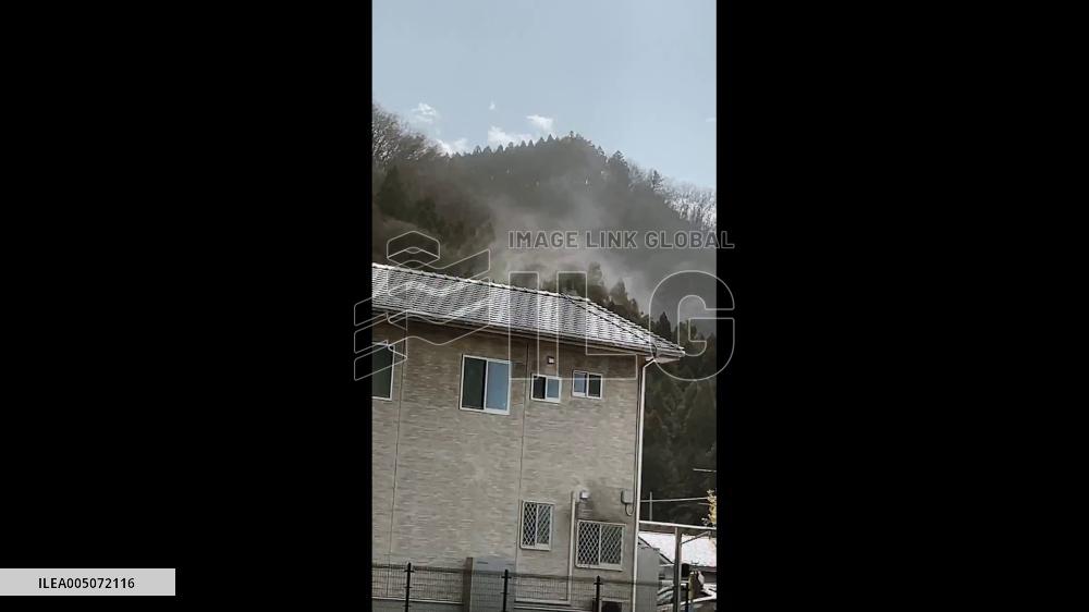 Japan: Cedar Pollen Reaches Its Peak With Heavy Dispersal Reported