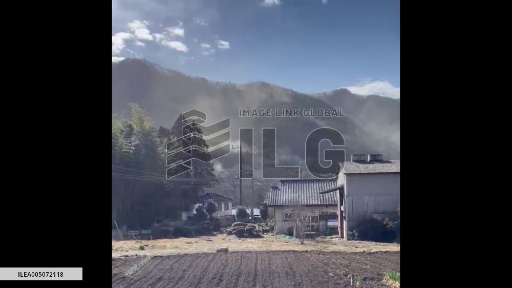 Japan: Cedar Pollen Reaches Its Peak With Heavy Dispersal Reported 4