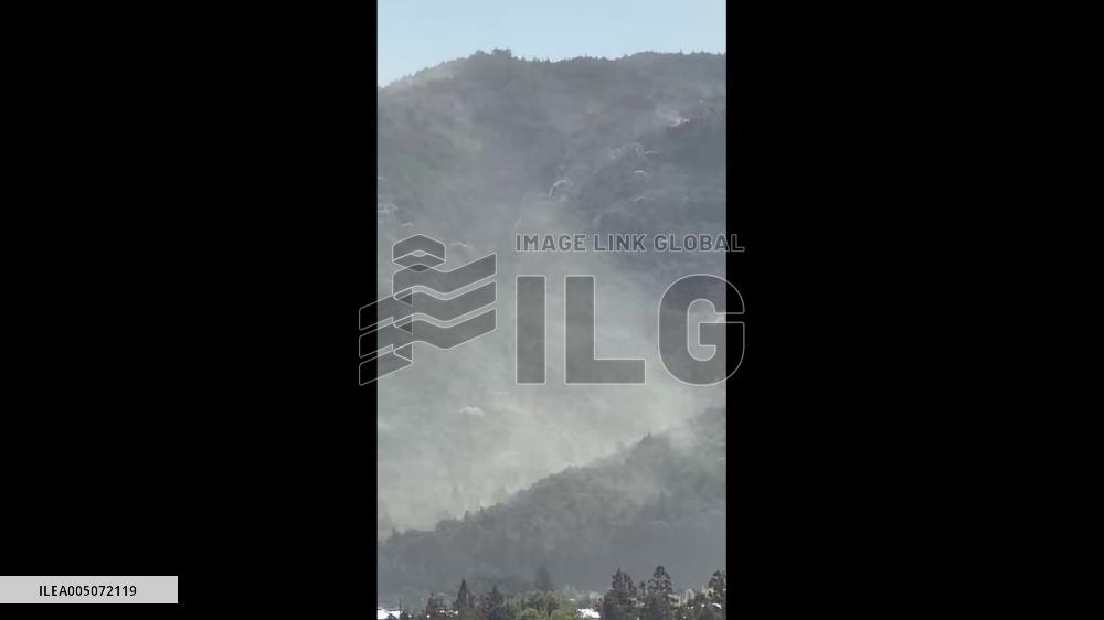 Japan: Cedar Pollen Reaches Its Peak With Heavy Dispersal Reported 3