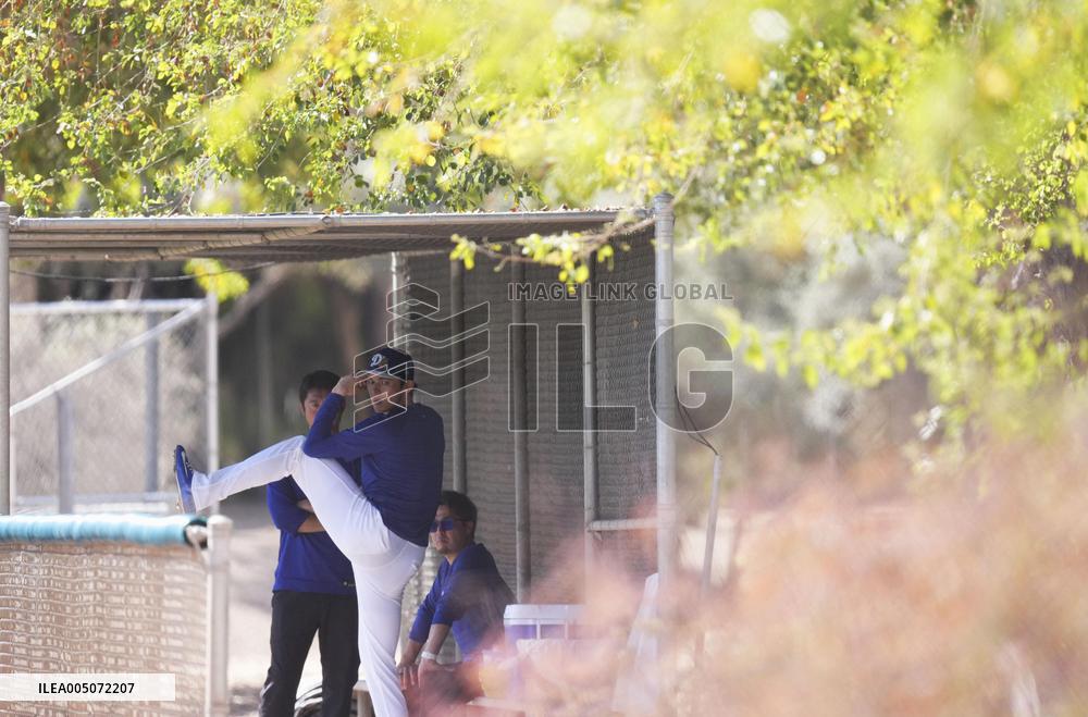 Baseball: MLB spring training