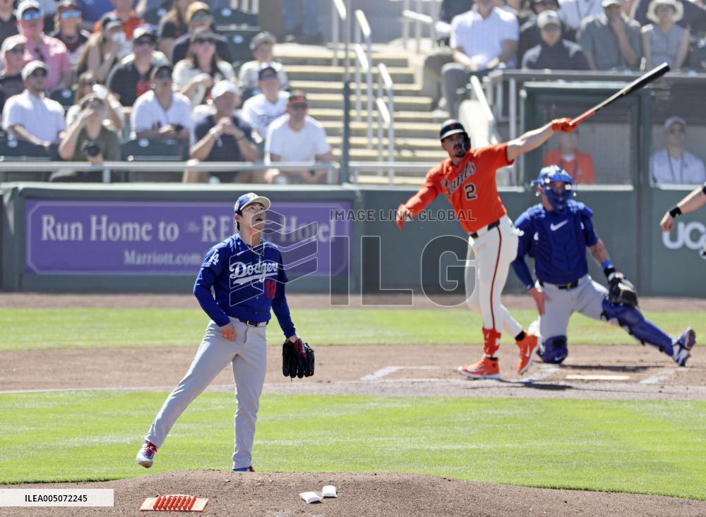 Baseball: MLB spring training