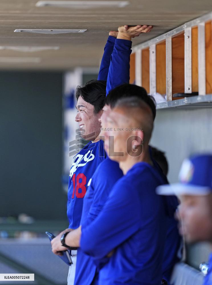 Baseball: MLB spring training