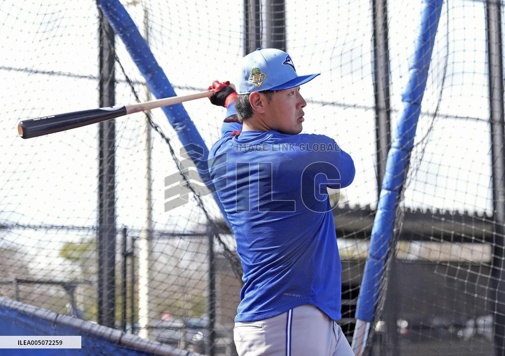 Baseball: MLB spring training