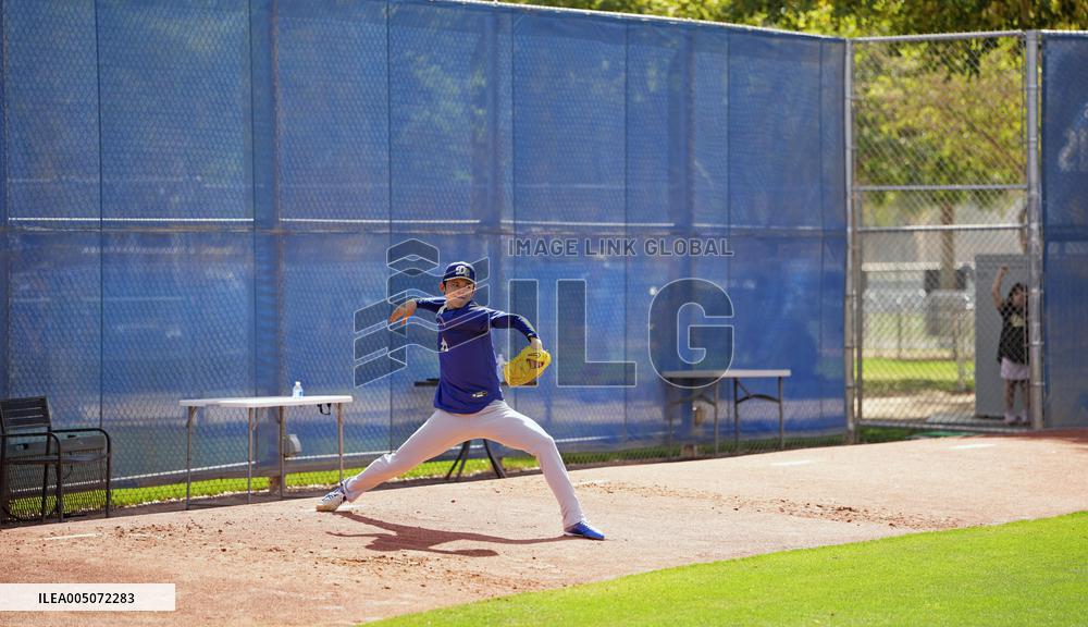 Baseball: MLB spring training