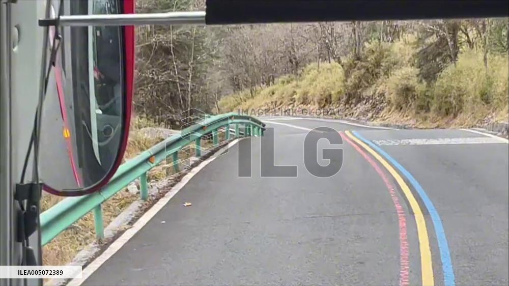 China: Wild Giant Panda Stuns Tourists After Walking in Front of Sightseeing Bus