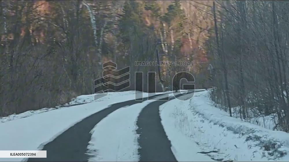 China: Wild Tiger Sparks Tense Moment on Snowy Road in Hunchun