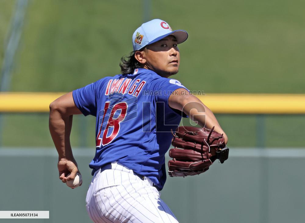 Baseball: MLB spring training
