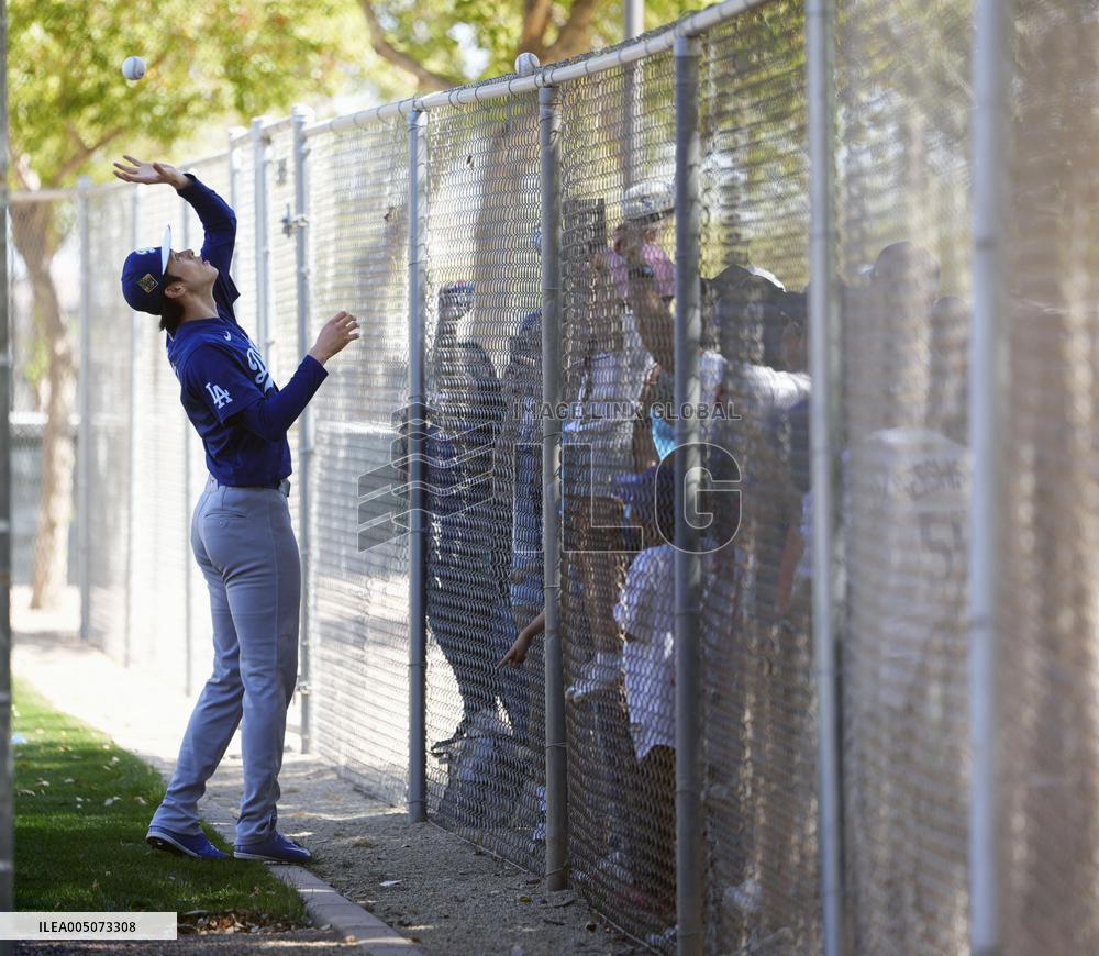 Baseball: MLB spring training