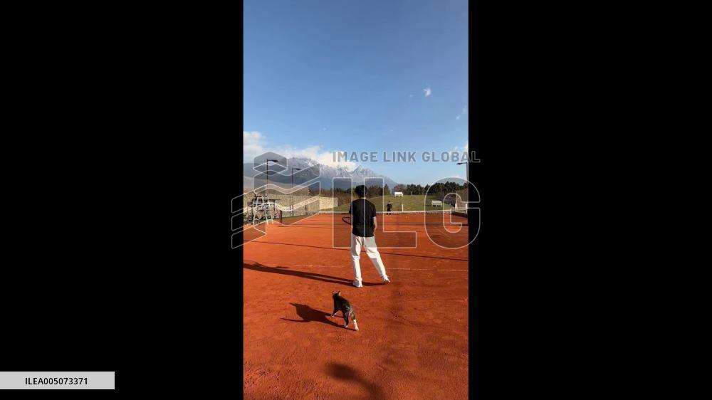 China: Cat Unexpectedly Grabs Ball During Tennis Game in Lijiang
