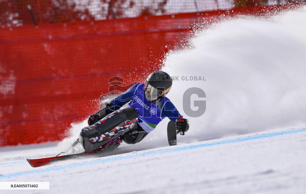 Milan Cortina Paralympics: Alpine skiing