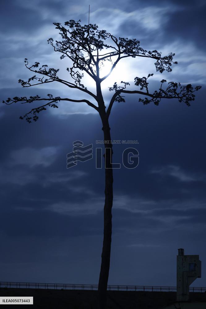 15th anniversary of 2011 Great East Japan Earthquake