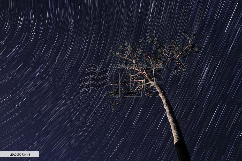 15th anniversary of 2011 Great East Japan Earthquake