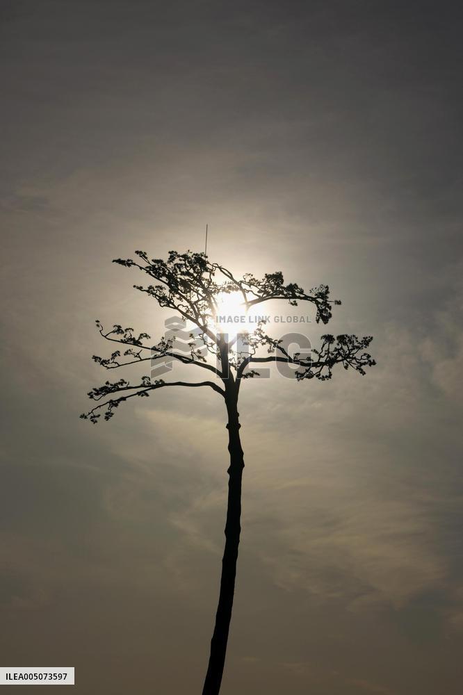15th anniversary of 2011 Great East Japan Earthquake
