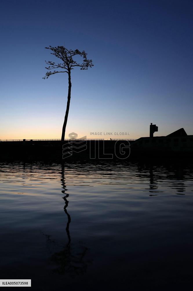 15th anniversary of 2011 Great East Japan Earthquake