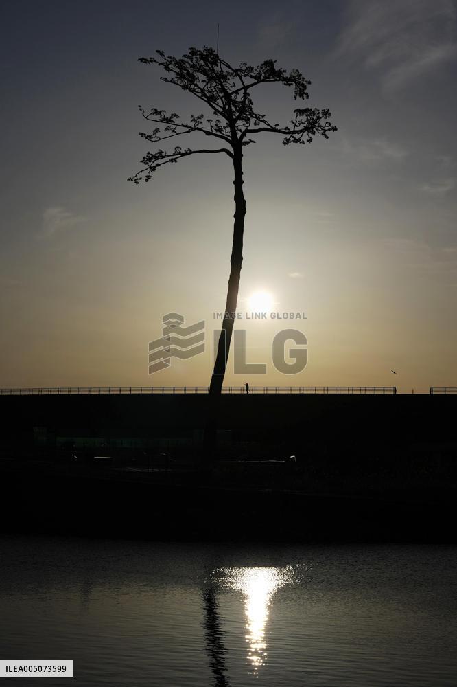 15th anniversary of 2011 Great East Japan Earthquake