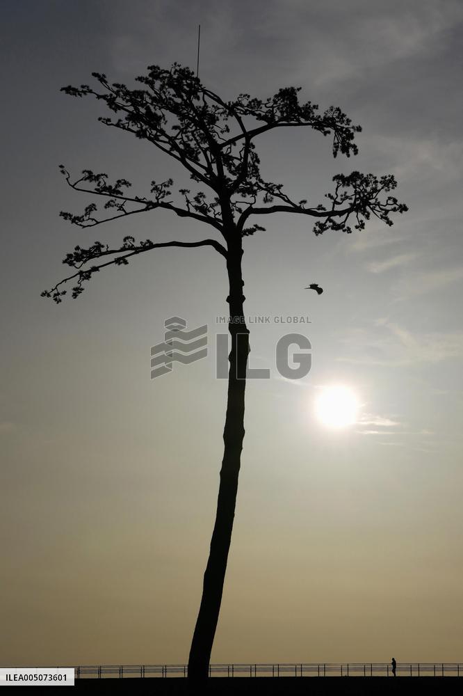 15th anniversary of 2011 Great East Japan Earthquake