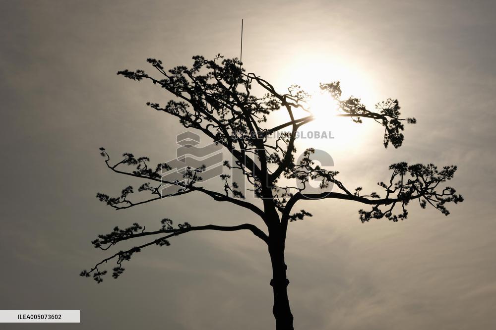 15th anniversary of 2011 Great East Japan Earthquake