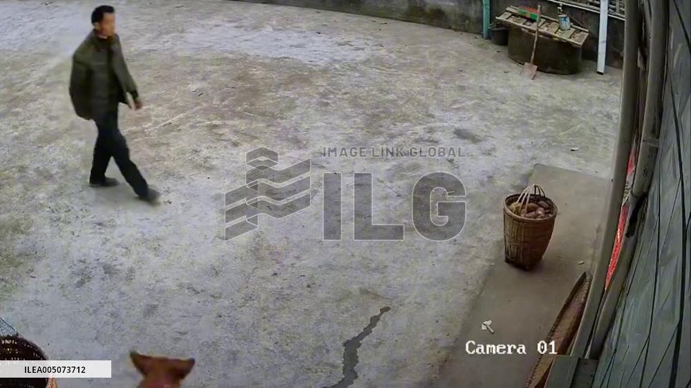 China: Quick-Thinking Man Catches Dog Falling From Two-Story Rooftop in Sichuan