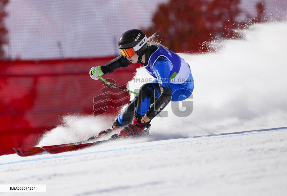 Milan Cortina Paralympics: Alpine skiing