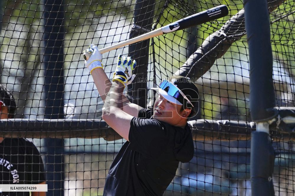 Baseball: MLB spring training