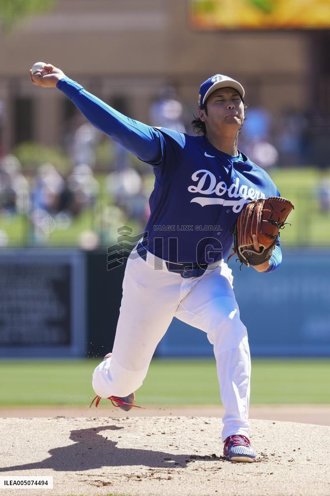 Baseball: MLB spring training