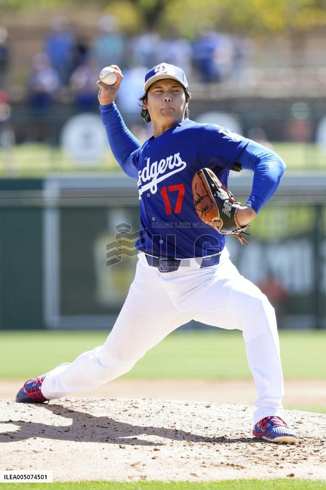 Baseball: MLB spring training