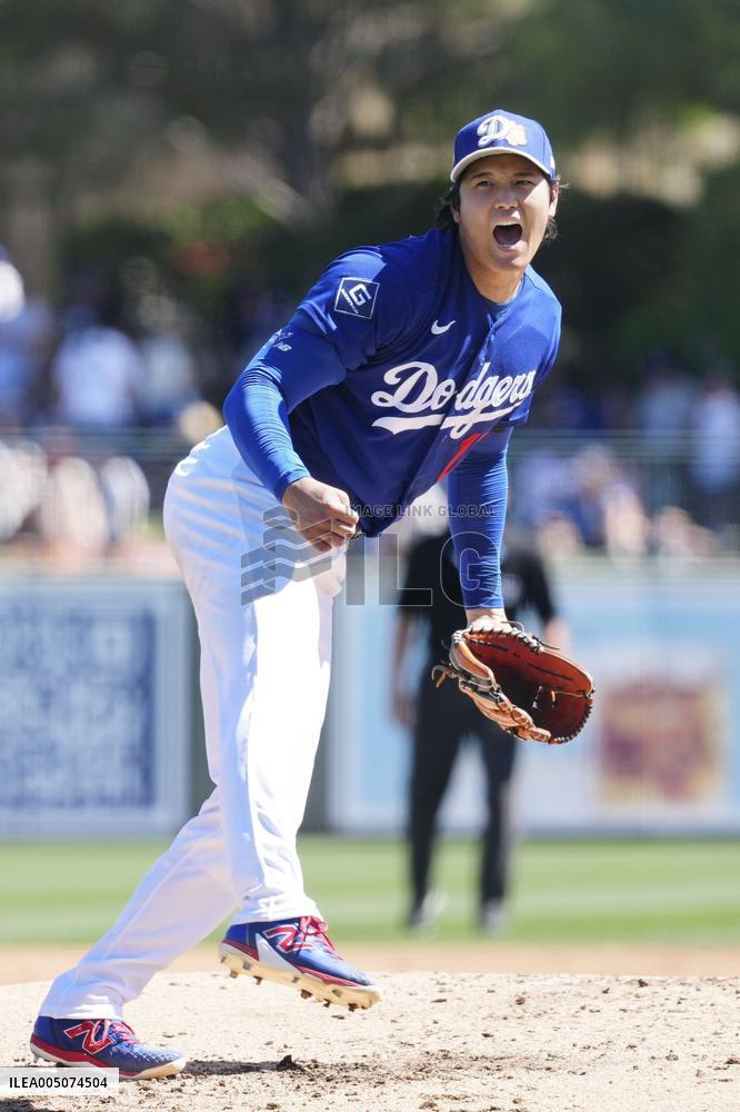 Baseball: MLB spring training