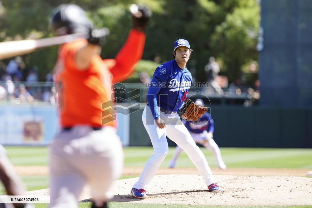 Baseball: MLB spring training