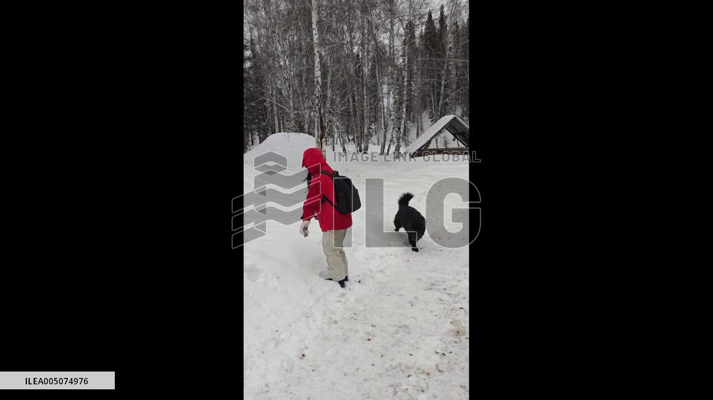 China: Dog Follows Owner Into Snow on Impulse During Hike in Xinjiang