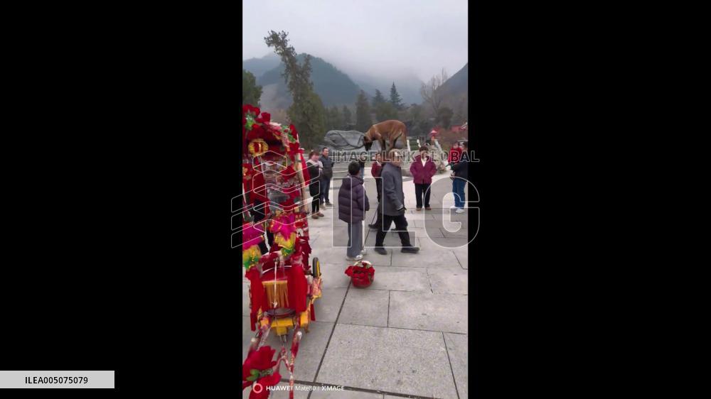 China: Man Casually Strolls Down Street With Large Dog Balanced on His Head