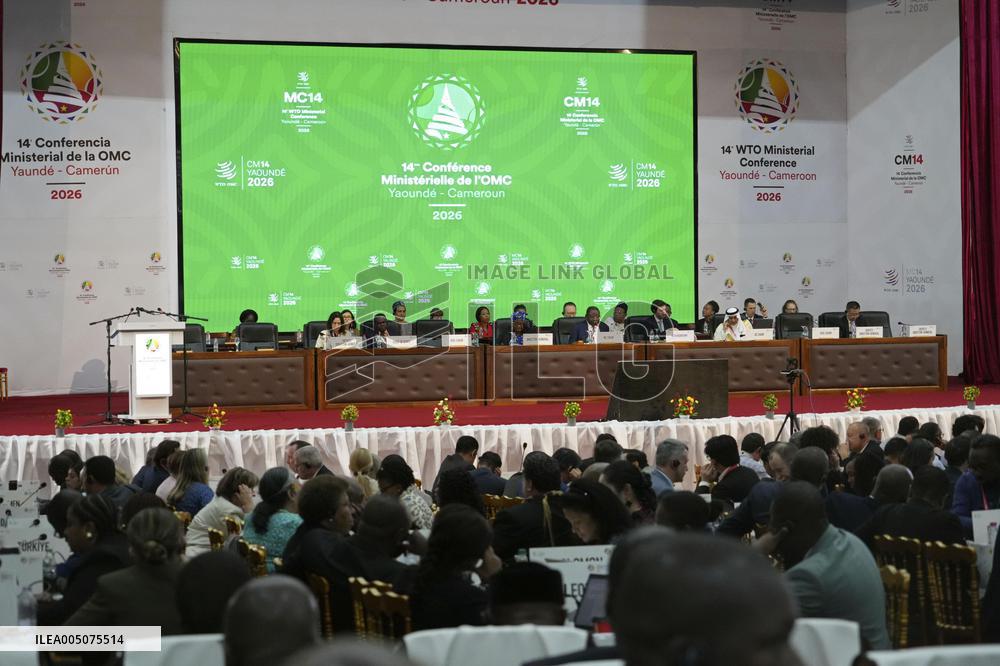 WTO ministerial meeting in Cameroon