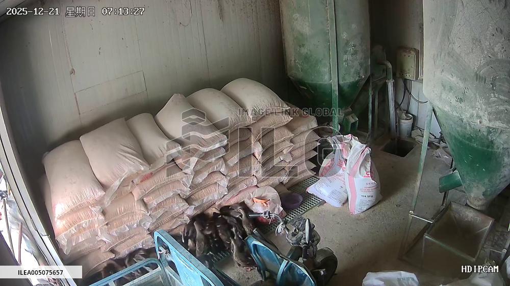 China: Ducks Killed After Pecking at Feed Bags Causes Grain Stack to Collapse on Farm