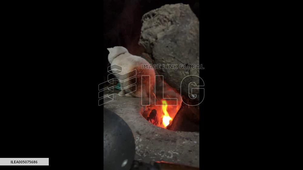 China: Cat Remains Still as Fur Catches Fire Beside Open Flame in Guangdong