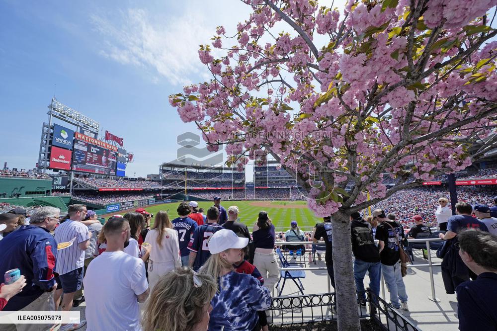 Baseball: Dodgers vs. Nationals