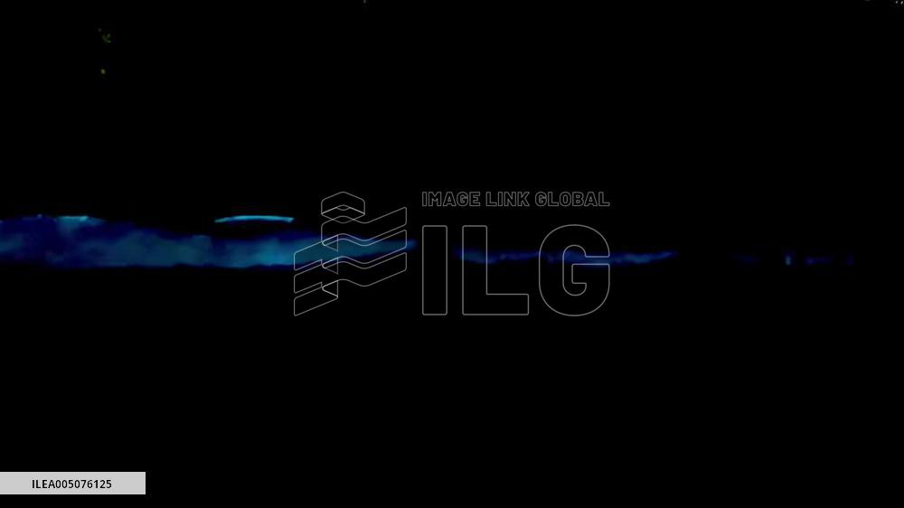 Japan: Sea Sparkle Lights Up Ocean Surface in Blue, Signaling the Arrival of Spring