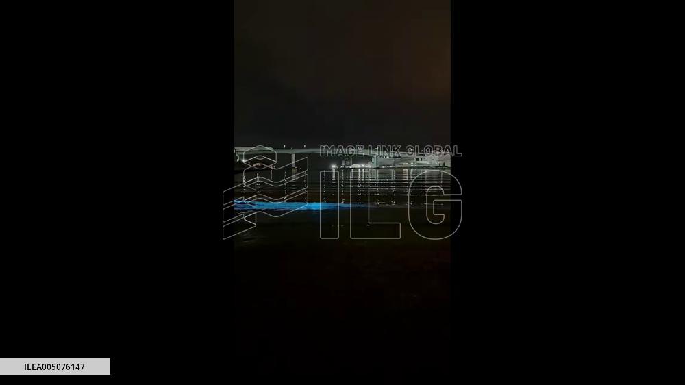 Japan: Sea Sparkle Lights Up Ocean Surface in Blue, Signaling the Arrival of Spring 2