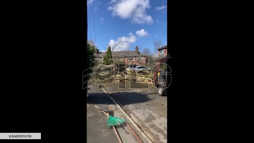 UK: Storm Dave Batters Greater Manchester, Bringing Down Trees