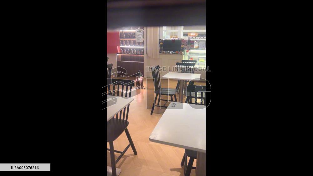 China: Meerkats’ Nighttime Gathering Under Light in Zhejiang