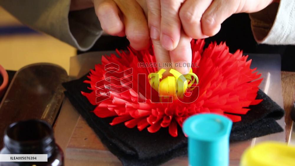 Imitation chrysanthemum production in western Japan
