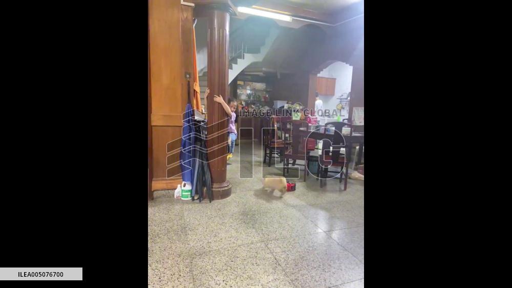 China: Little Girl Climbs Pillar to Escape Tiny Dog in Foshan, Guangdong